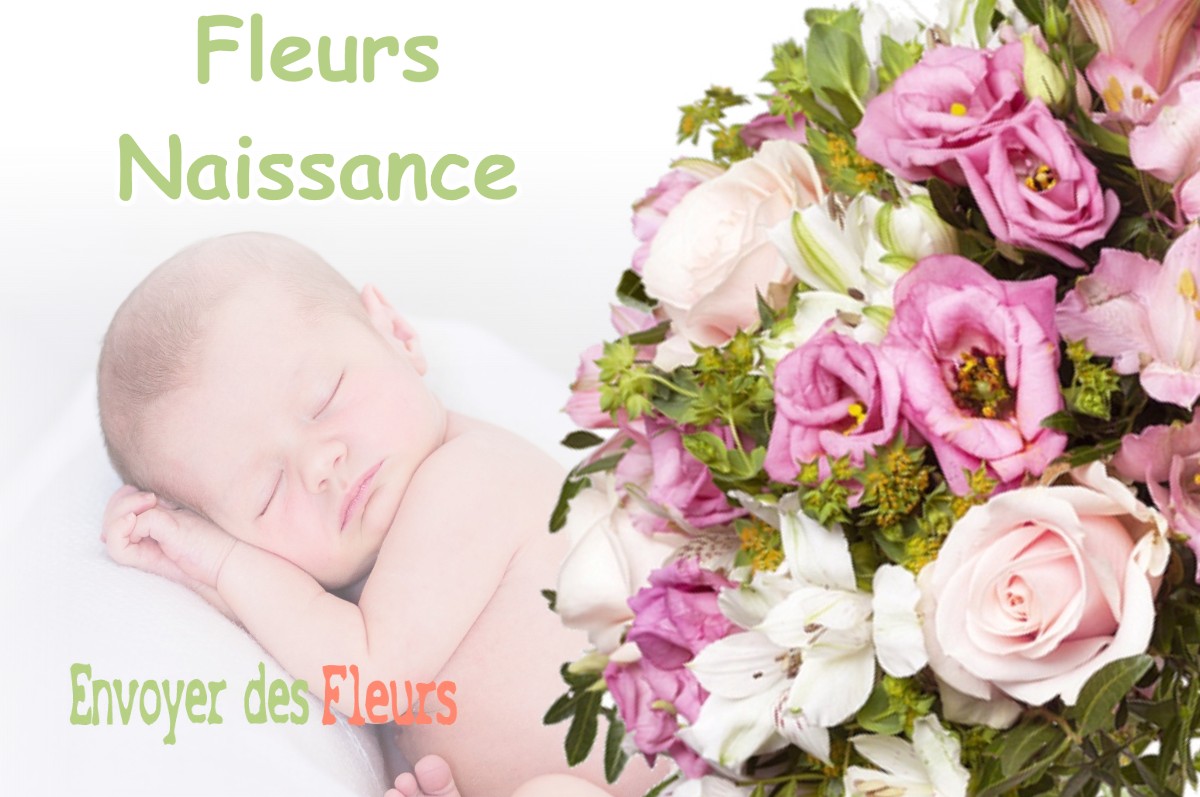 lIVRAISON FLEURS NAISSANCE à BEAUVOIR-DE-MARC